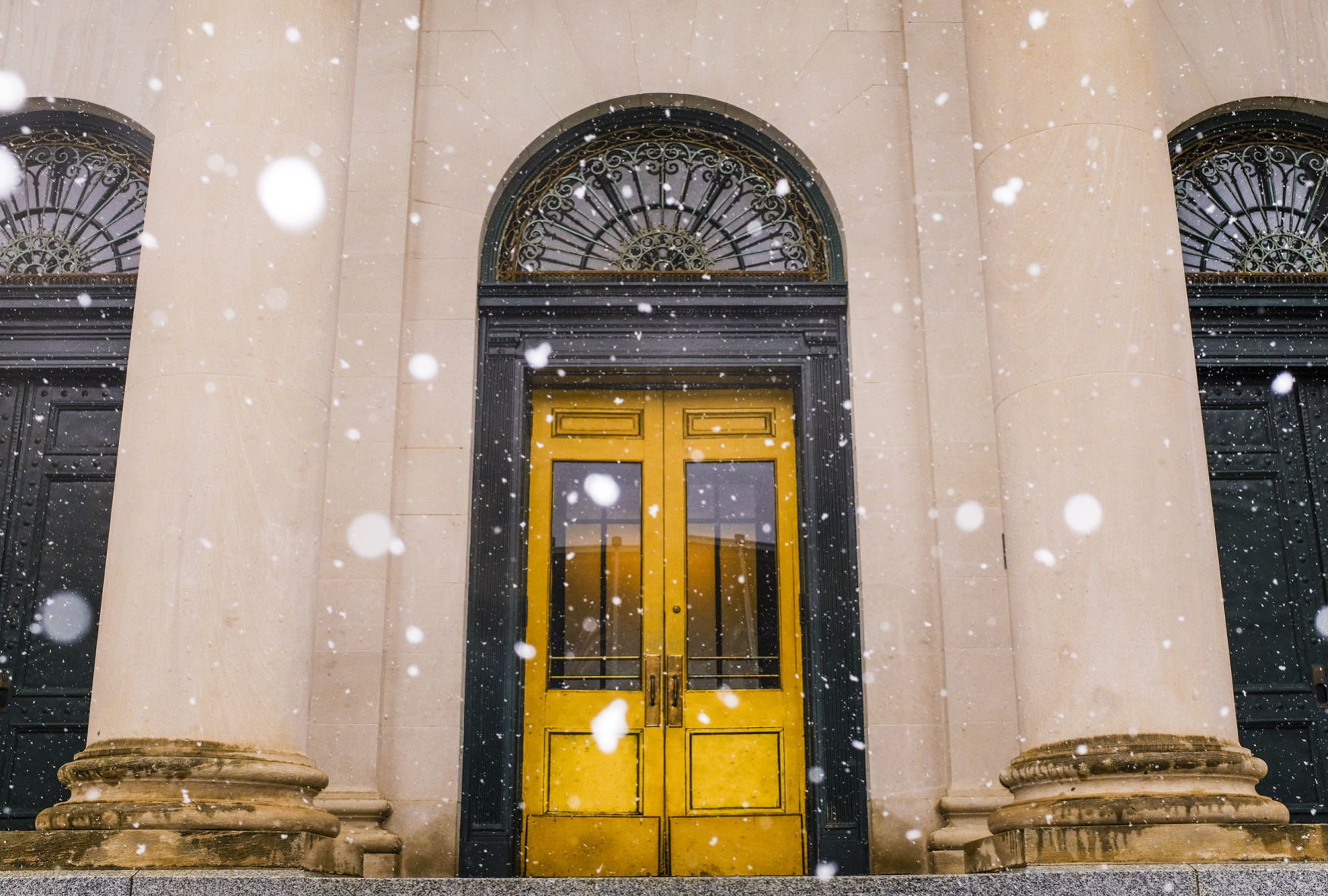 SnowFeature